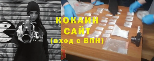 амф Ладушкин