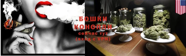 винт Лагань