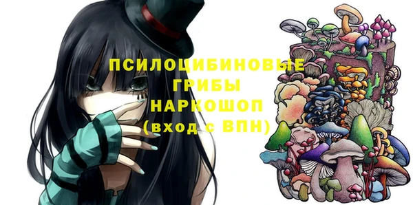 синтетический гашиш Лабытнанги